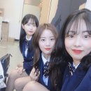 의전3 이미지