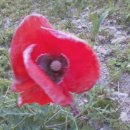 신도연못 옆 이미지