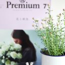 화요일플라워 이미지