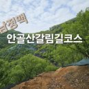 안골 낚시터 | 안골산갈림길[금남정맥] 등산 코스
