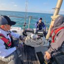 갈매기1호 이미지