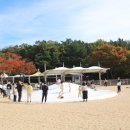 대공원광장대로 이미지