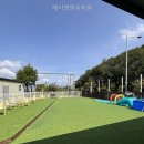 헤이댕댕 | 헤이댕댕유치원 직접 가본 솔직 후기