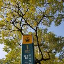 ﻿강남 압구정동 33평형 압구정현대아파트 전세 (압구정고등학교 인근) 임대 관련 디스코드 서버 안내 (20221231) 이미지