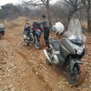 인테그라 NC750D 로드윈 머드가드 장착