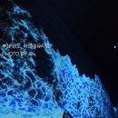 중앙동방향 교통섬 | 부산 영도_아르떼 뮤지엄 (2024.09.29)