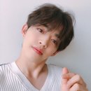 쿱스 Daum카페
