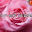 꽃향기 이미지