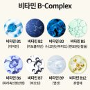 제이디바이오 | 강아지 유산균 추천 리틀포우 트리플 바이오 컴플리트 후기