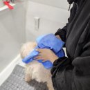 생활 속 힐링 아로마테라피 네이버블로그