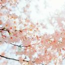 이가자미용학원 이미지