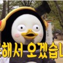 나래실사