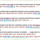 루시퍼라는 용어의 성경적 의미를 드러내어 사탄의 전유물이라는 거짓 구라 마귀 똥을 박살냅시다! 이미지