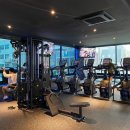 바디채널 이미지