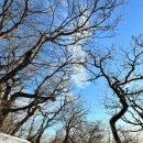 보훈주유소 이미지