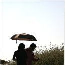 대화농장 이미지