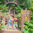 지리산정원 유아숲체험원 이미지