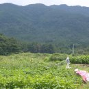 입실1리 이미지