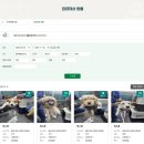 춘천시동물보호센터 | 춘천시 동물보호센터 "우리랑 같이놀개" 입양 행사 정보 유기견 입양 방법