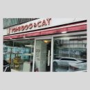 분당 요미독앤캣 강아지분양 고양이분양 이미지