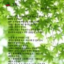 詩 099 오월 피천득 이미지