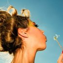 데이릴리(Daylily) 이미지