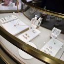 일광골드타워1차 | 까르띠에 러브팔찌 사이즈·컬러 비교 후기 | 스몰·미듐·클래식 실착 | 16호 vs 17호 비교