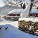 한국 아산 외암민속마을의 눈풍경 이미지