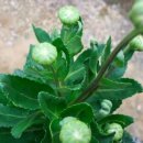 팔도농장 이미지