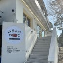 사파동214 이미지