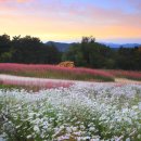 가산수피아 이미지