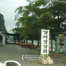 양어장상회 이미지