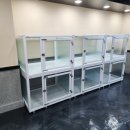 멍멍이를 부탁해 이미지