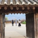 장선꽃차 네이버블로그