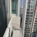 신정수지 | 용인 수지 신정마을1단지 아파트 비둘기 문제 해결 후기