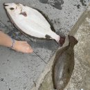 이엘관광농원 이미지