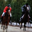 이소영동물병원 이미지