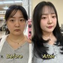 여의도 동물병원 은하점 | 여의도 메이크업 사당 헤메샵 민낯살롱 상도점 소개팅 유행 핑크 데일리