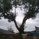 삼거리방아간