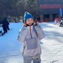 둔내정비 | 주말 당일치기 좋은 홍천 웰리힐리파크 스키장 이용 정리