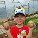 석천몬테소리어린이집 이미지