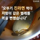 &#34;오뚜기 진라면 먹다 지렁이 같은 벌레를 먹을 뻔 했습니다&#34; 이미지