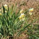 문화마을길 이미지