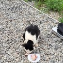 전기차로 떠나는 생애 첫 차박후기#초보캠핑 #아이두젠모빌리티사이드X