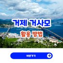 중고개민박 | 거제 거사모 활용법 총정리 (지역 정보 찾는 현실 방법 5가지)