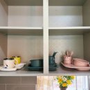 헬로우댕댕 이미지