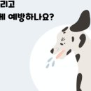 도담도담동물병원 이미지