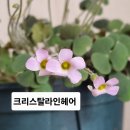 헤어크리스탈 - 미추홀구 송림로 179 | 헤어크리스탈