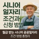 시니어IT직무교육 | 시니어 일자리 조건과 신청 방법 총정리 (2025년 정부 지원형 최신 가이드)