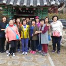 양씨삼강문 이미지